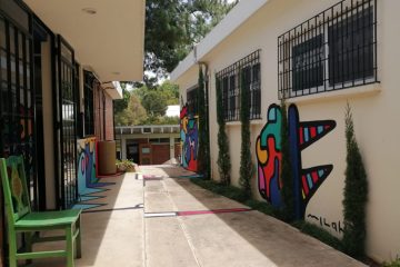 regresa-al-Color